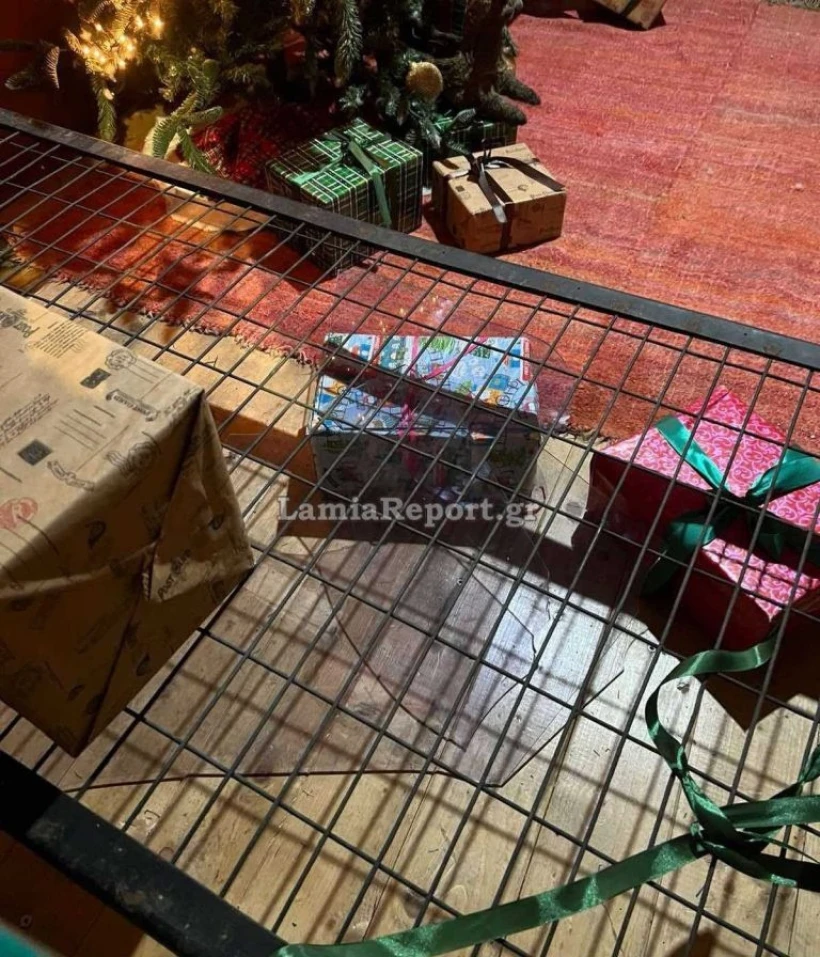 LamiaReport LamiaReport