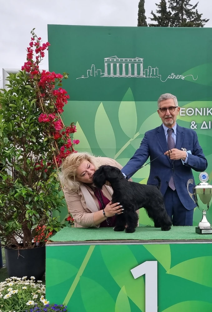 Η Δήμητρα Βατού