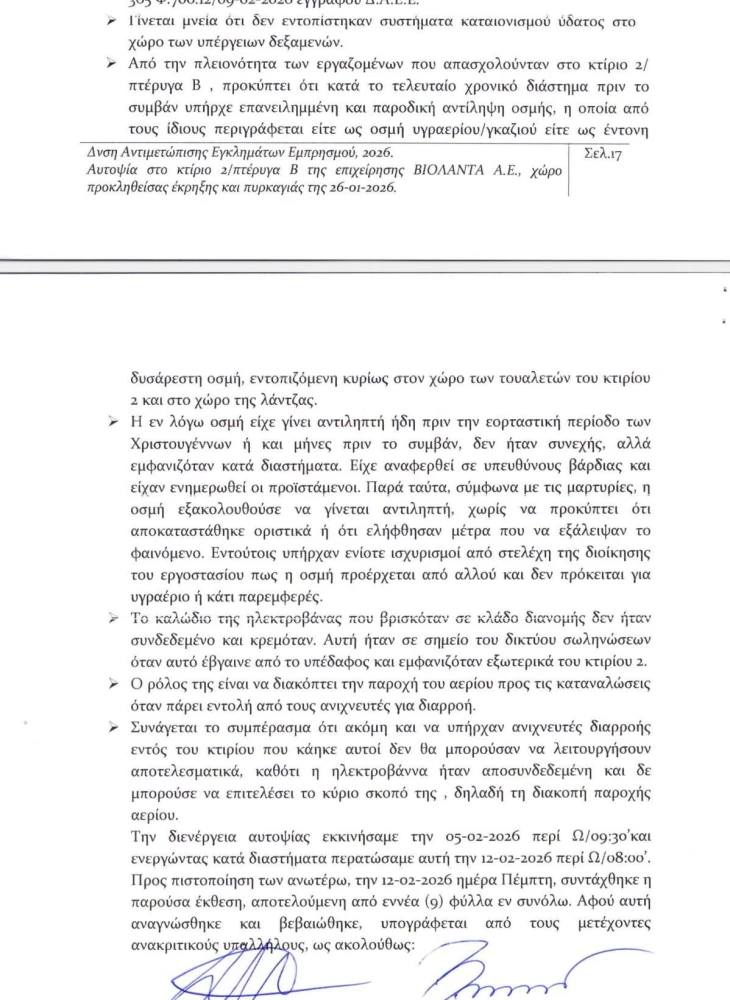 porisma-violanta.jpg