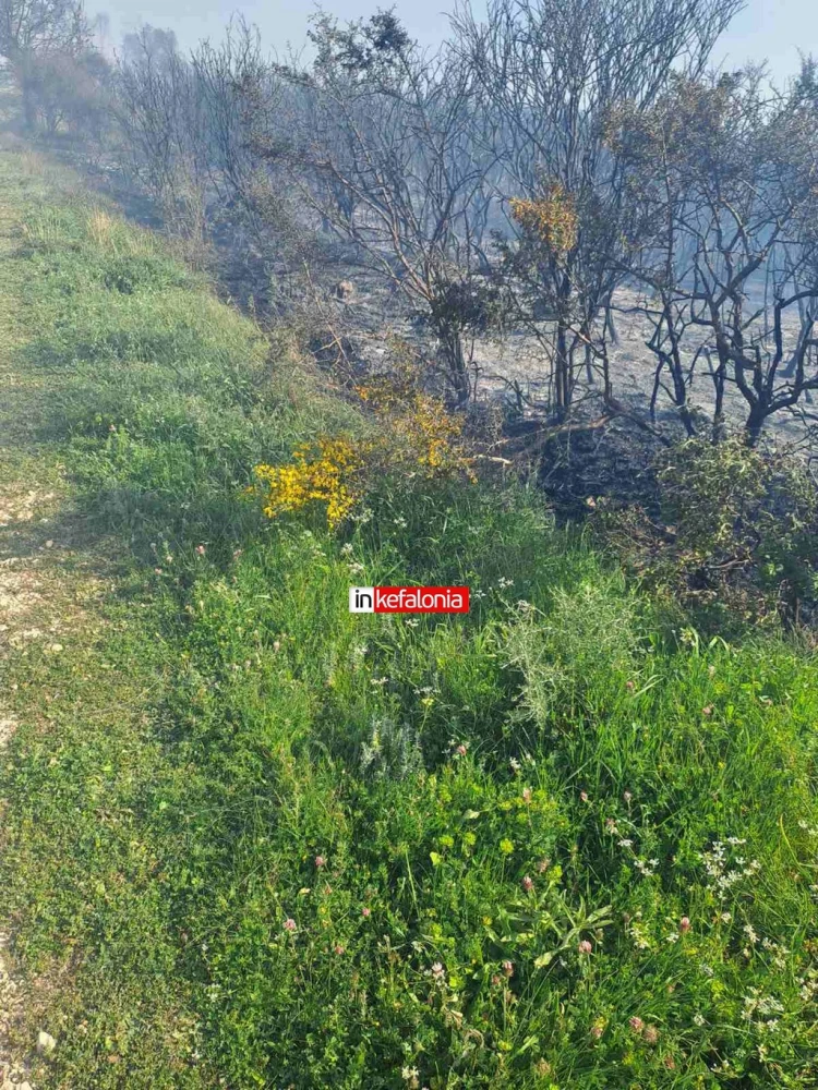 Φωτό: inkefalonia.gr