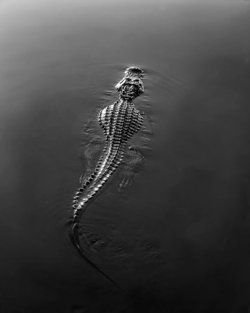 Φωτ.: Unsplash