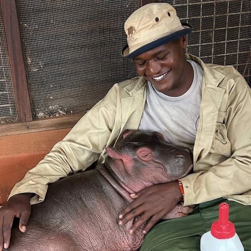 https://www.sheldrickwildlifetrust.org/news/updates/rescue-of-bumpy