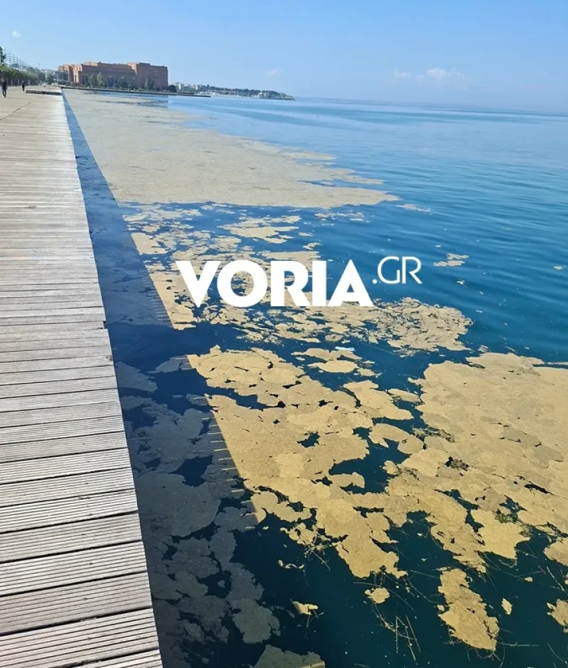 Φωτό: voria.gr