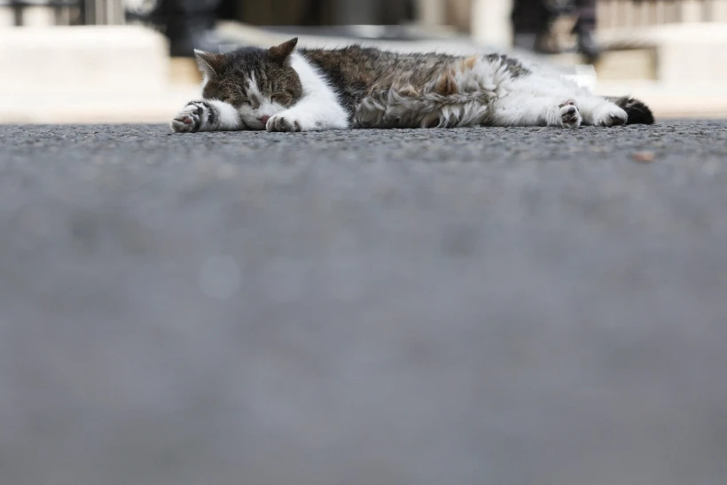 Reuters