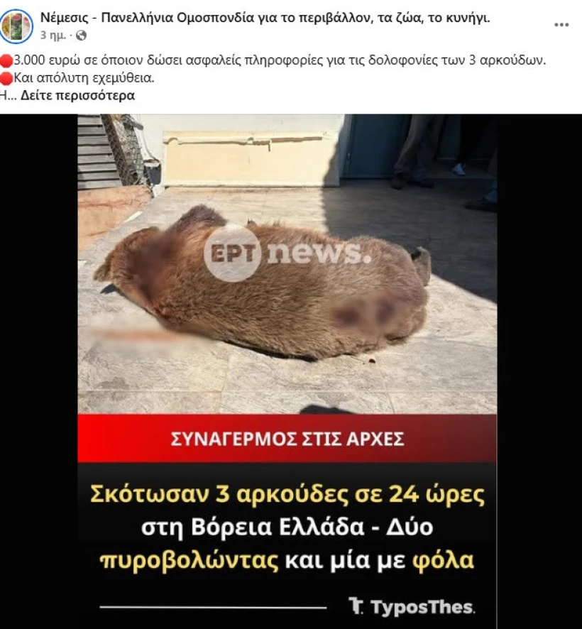 Facebook Νέμεσις