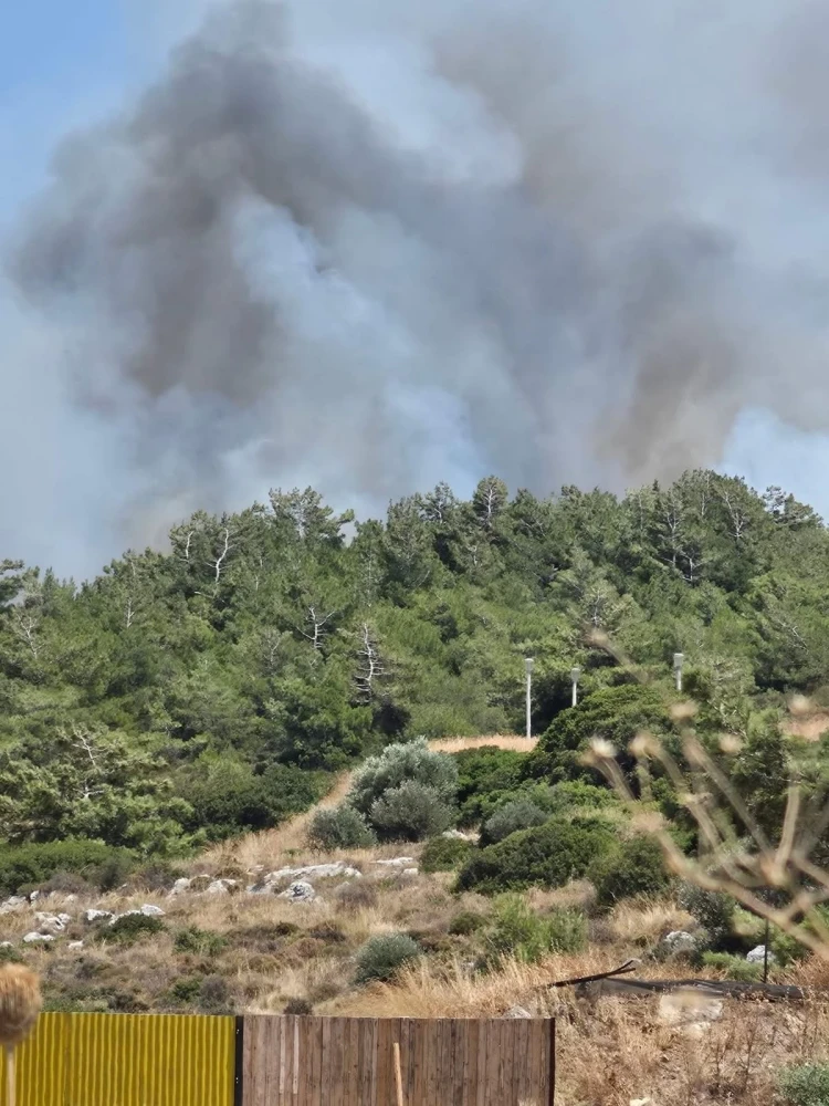 Πηγή Συμβαίνει Τώρα