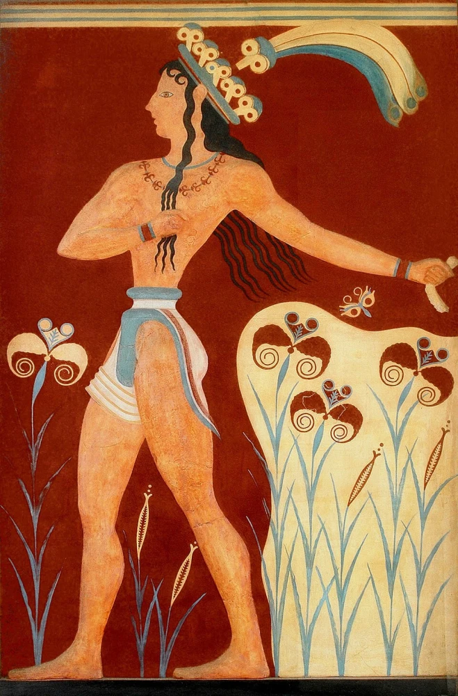 wikimedia commons