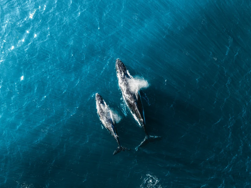 unsplash