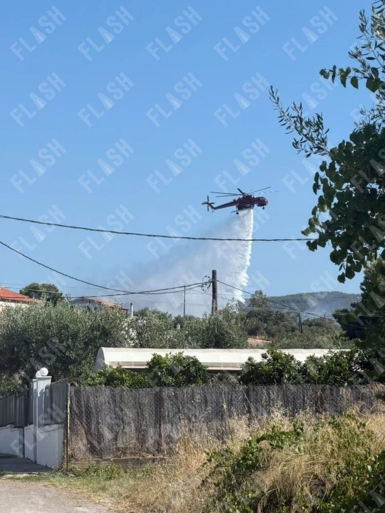 Μιχάλης Λεγάκης/Flash.gr