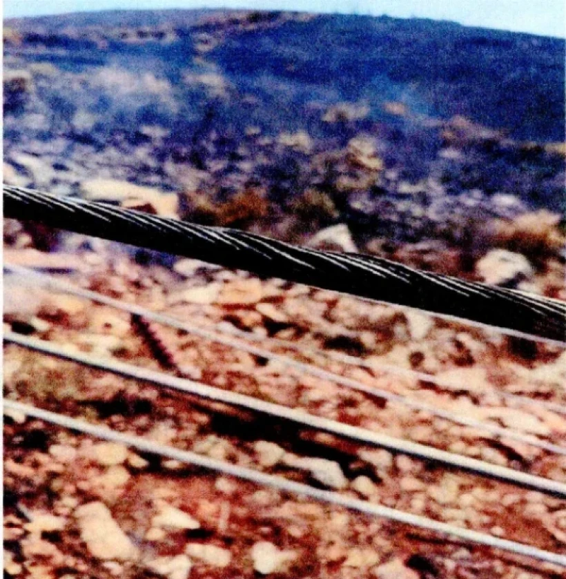 Φωτ.: lamianow.gr