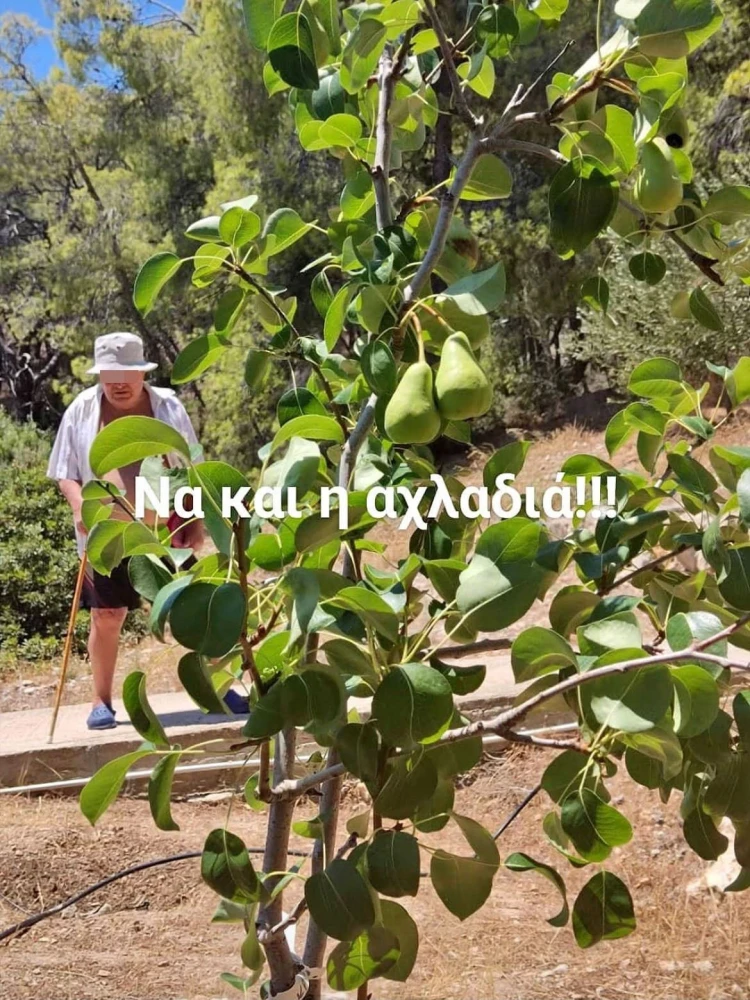 Πηγή: Social Media