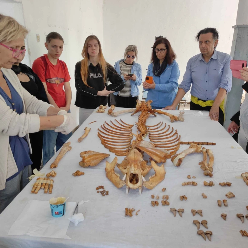 φωτό Κωνσταντίνος Μαυραγάνης/ΑΠΕ φωτό Κωνσταντίνος Μαυραγάνης/ΑΠΕ