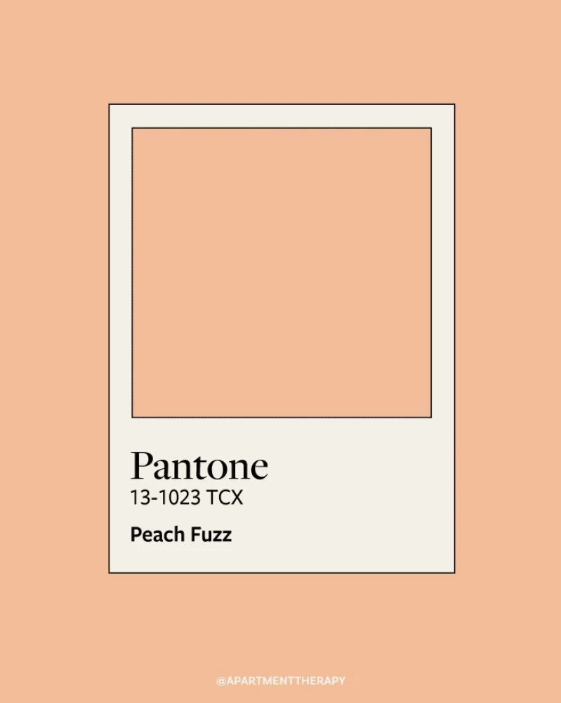 Pantont Color of the Year Pantont Color of the Year
