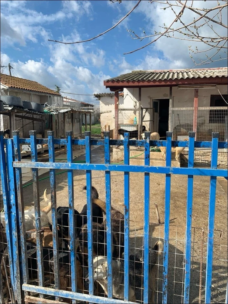 Πηγή φωτό Αστυνομία Πηγή φωτό Αστυνομία