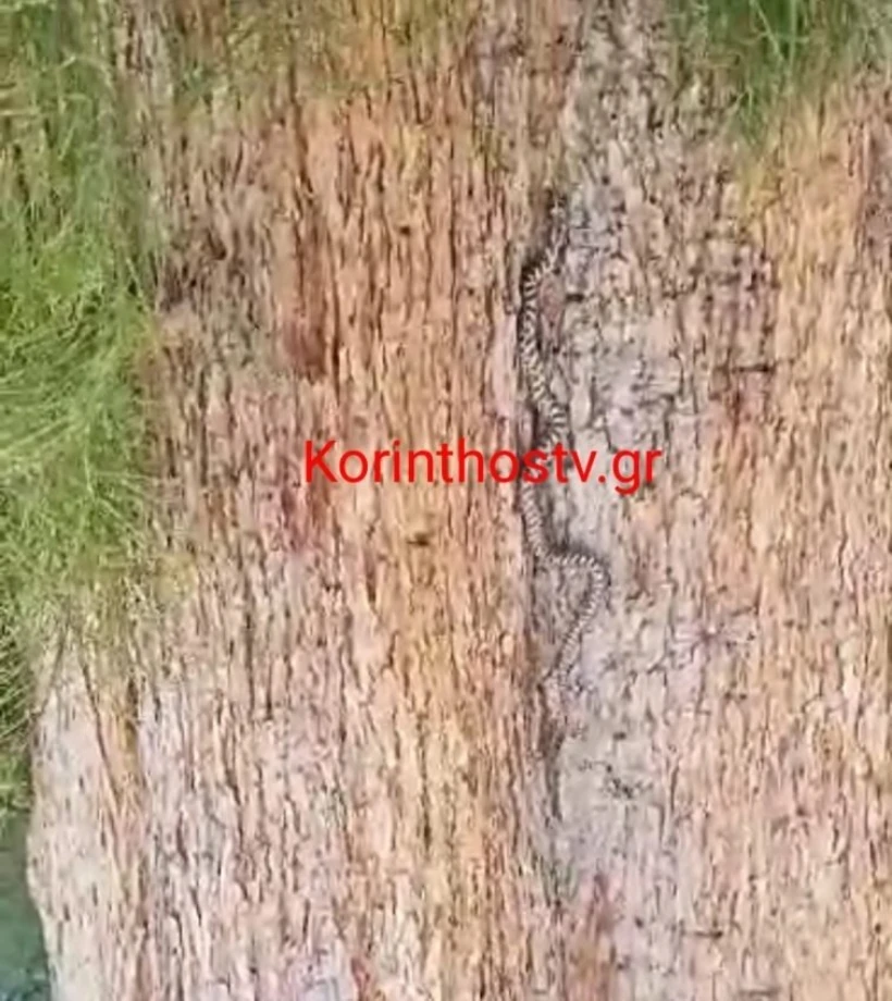 Korinthostv