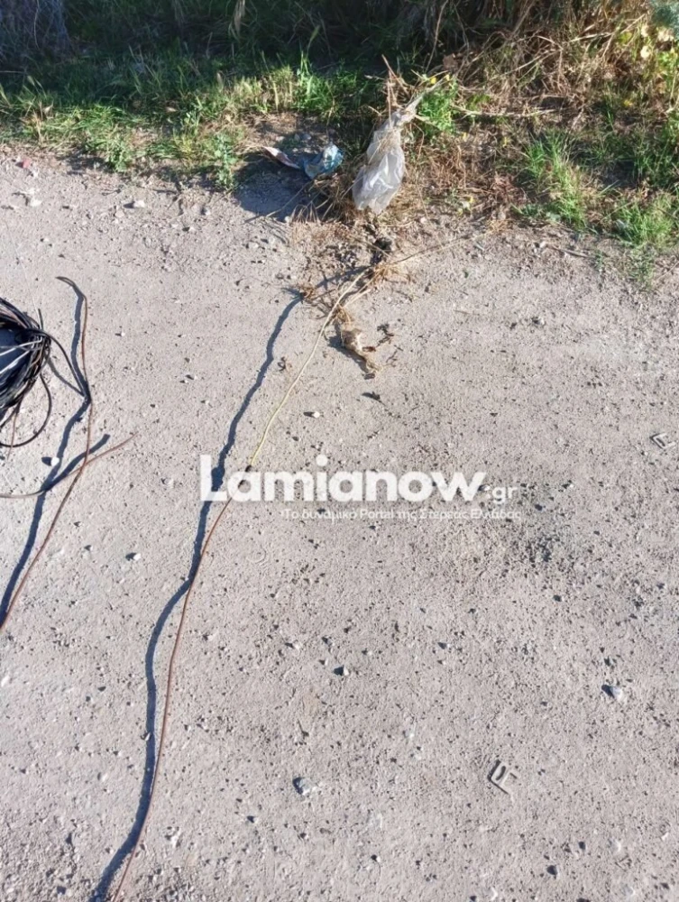 Πηγή: Lamianow.gr