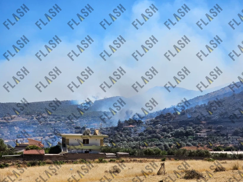 Φωτ.: Γιάννης Κέμμος / flash.gr Φωτ.: Γιάννης Κέμμος / flash.gr