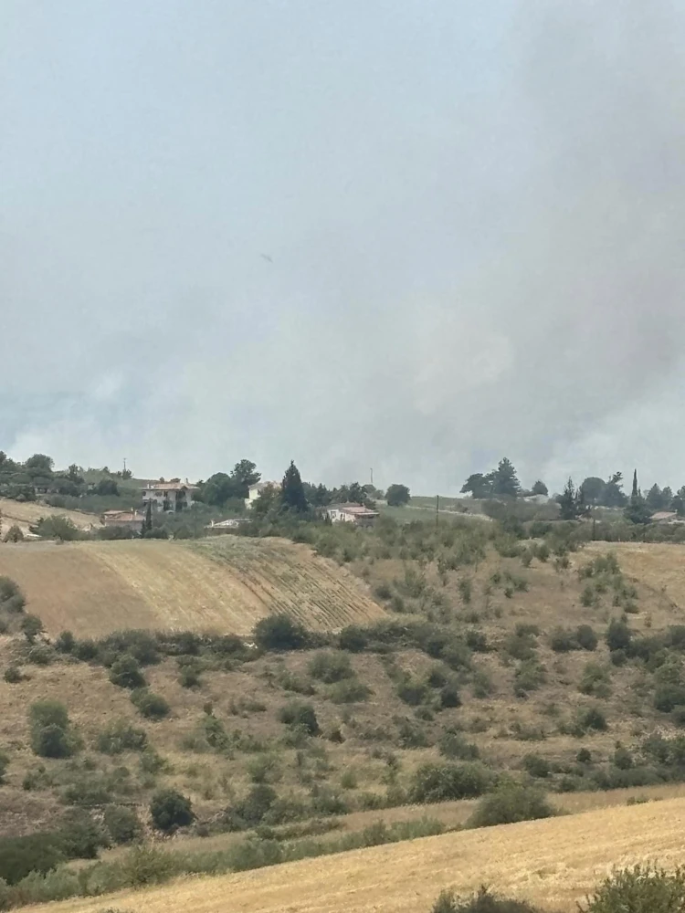 Φωτιά στον Τρίλοφο Θεσσαλονίκης/Typosthes Φωτιά στον Τρίλοφο Θεσσαλονίκης/Typosthes