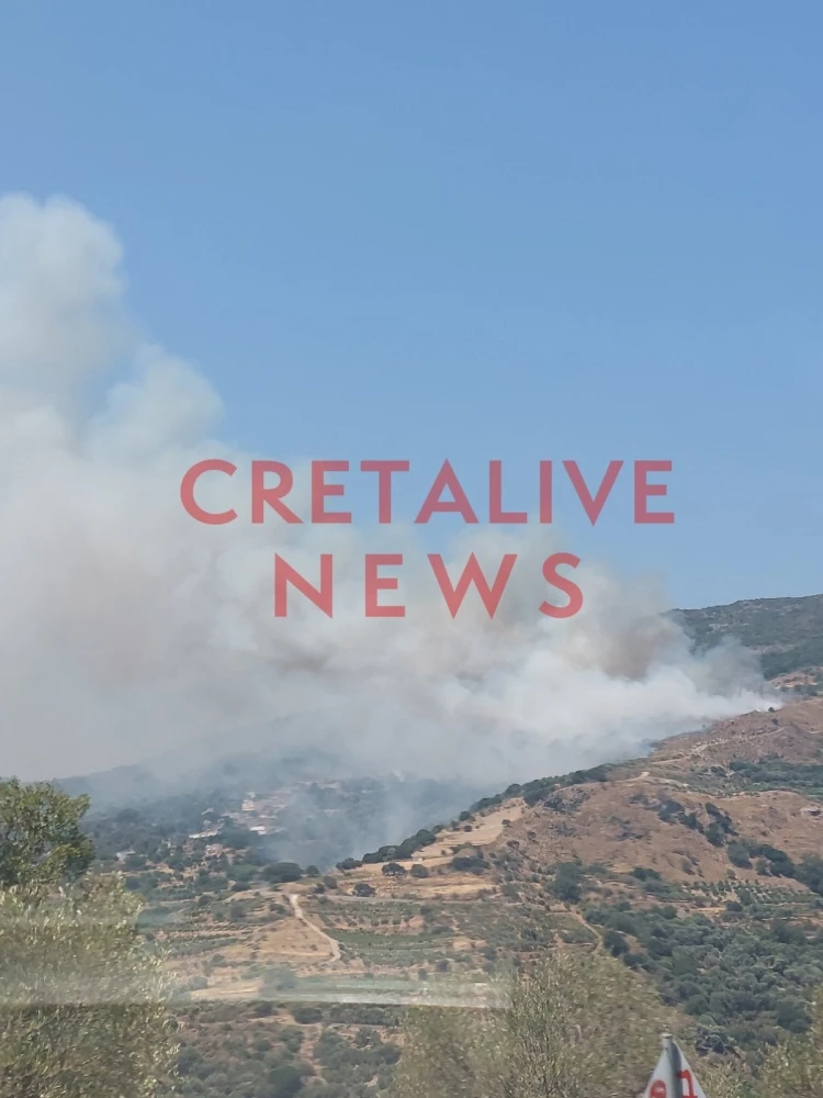 CRETALIVE NEWS CRETALIVE NEWS