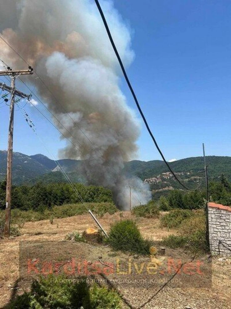 Πηγή: Karditsalive.net Πηγή: Karditsalive.net