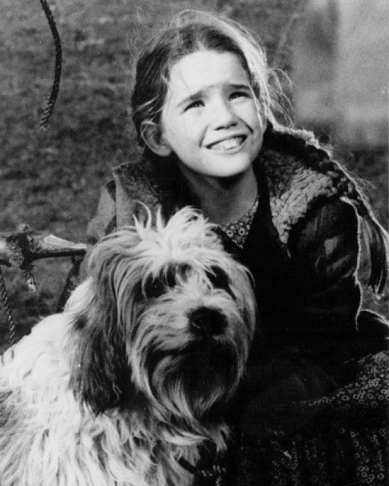 640px-little-house-on-the-prairie-melissa-gilbert-1975-crop-1.jpg?v=0