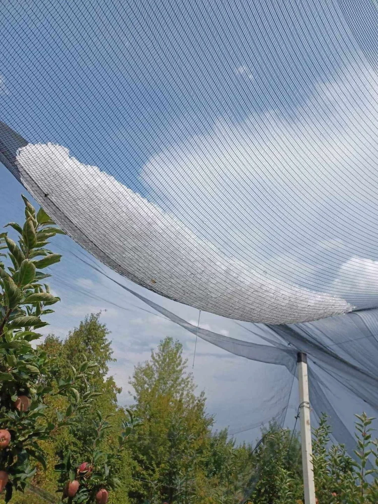 credits: foninaousis.gr credits: foninaousis.gr