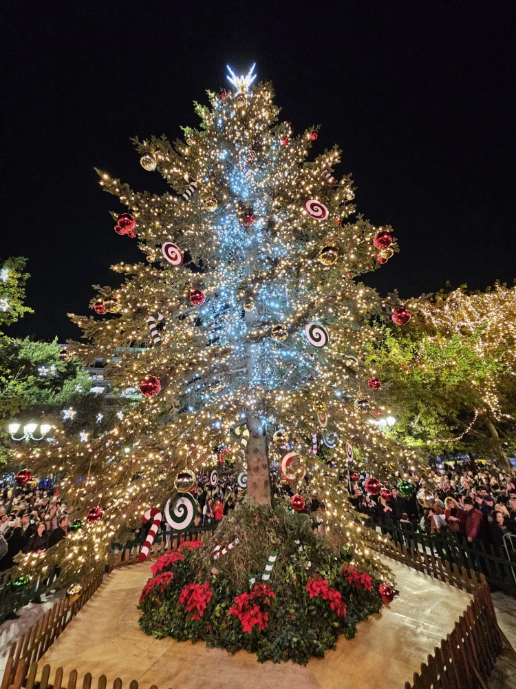          Φωταγώγηση του Χριστουγεννιάτικου δέντρου στο Σύνταγμα / Φωτογραφίες: Γιάννης Κέμμος - flash.gr     