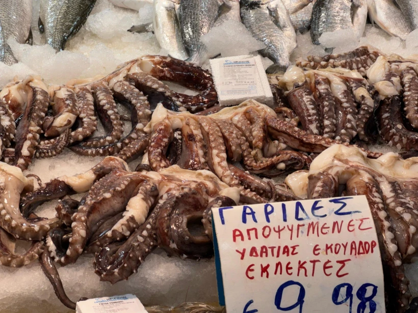 Γιάννης Κέμμος/ flash.gr Γιάννης Κέμμος/ flash.gr