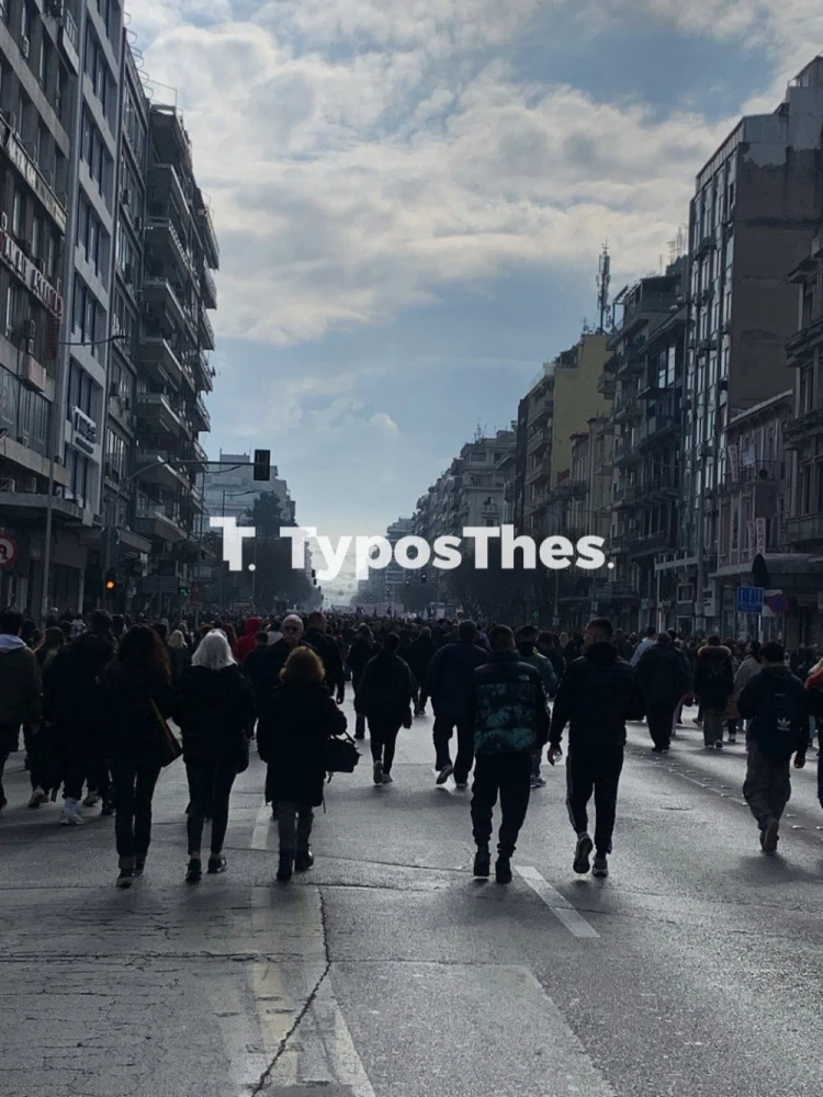 Typosthes Typosthes