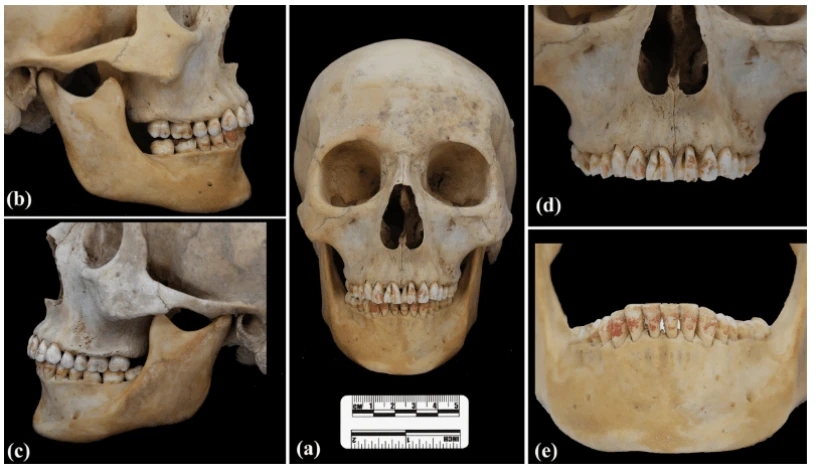 Archaeological and Anthropological Sciences (2025) Archaeological and Anthropological Sciences (2025)