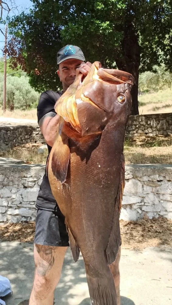 Πηγή: gegonota.news Πηγή: gegonota.news