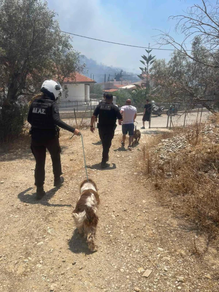          Πηγή: ΕΛ.ΑΣ.     