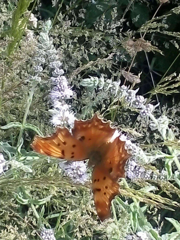 Credits: Ελένη Στεργιοπούλου/ΑΠΕ-ΜΠΕ