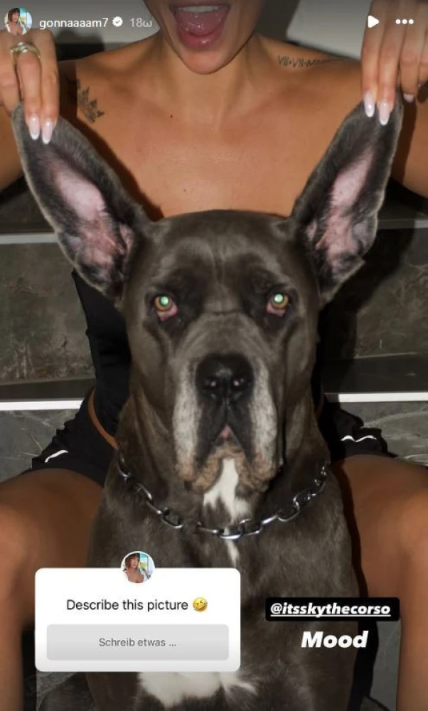 Φωτό: Instagram/gonnaaaam7