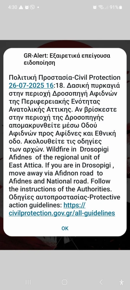 whatsapp-image-2025-07-26-at-163202.jpeg whatsapp-image-2025-07-26-at-163202.jpeg