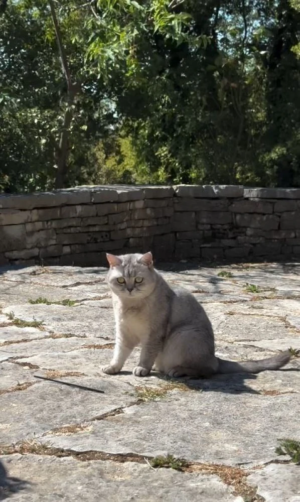 φωτογραφία Instagram