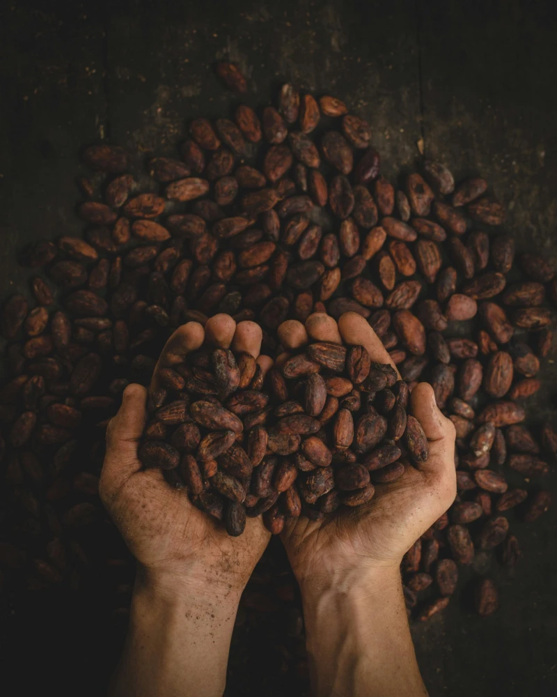 Unsplash Unsplash