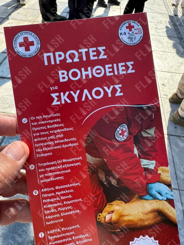 Φωτογραφία: Γιάννης Κέμμος/ flash.gr Φωτογραφία: Γιάννης Κέμμος/ flash.gr