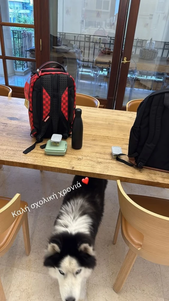 φωτογραφία Instagram