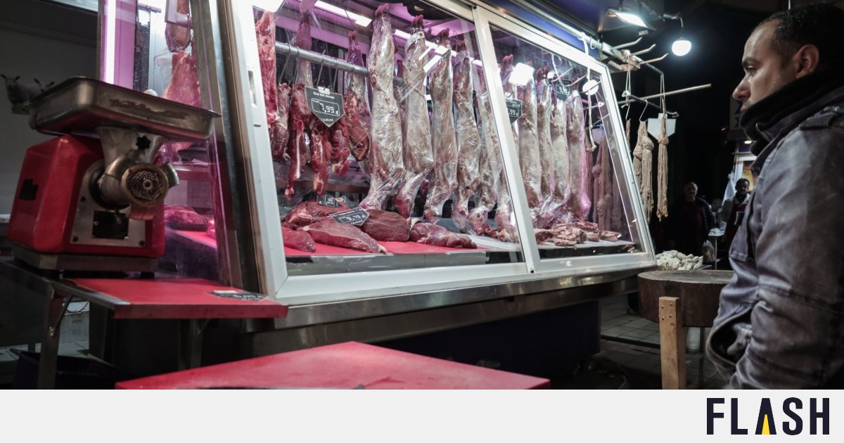 Il governo italiano blocca la carne prodotta nei laboratori