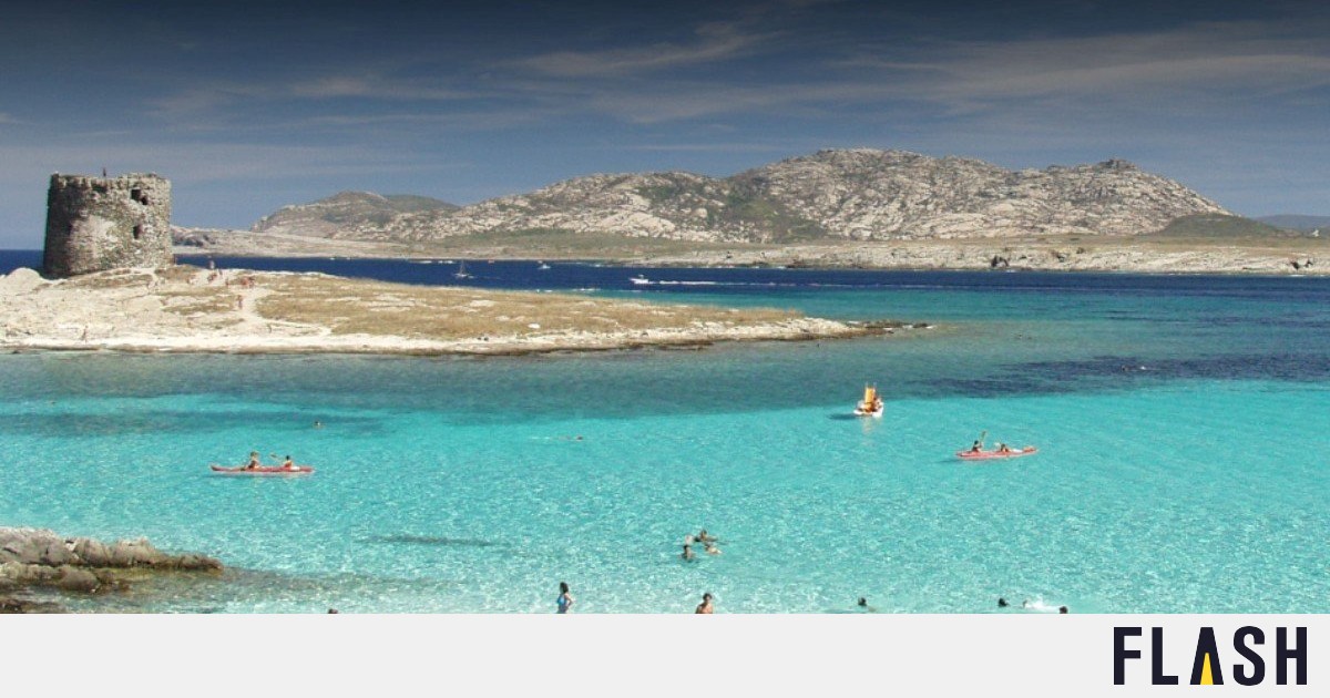 Una spiaggia con un numero “ridotto” di visitatori giornalieri in estate [vids]