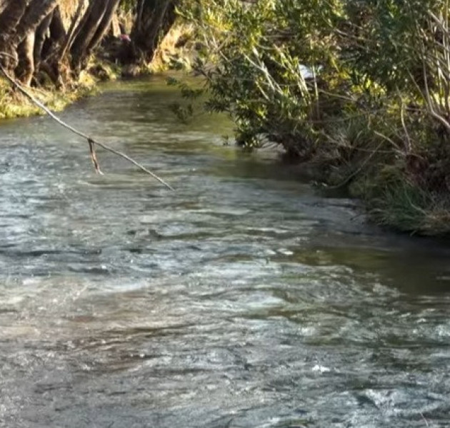 Δεν θα πούμε το νερό νεράκι: Η «αναγέννηση» της λίμνης του Μαραθώνα χαρίζει ελπίδες