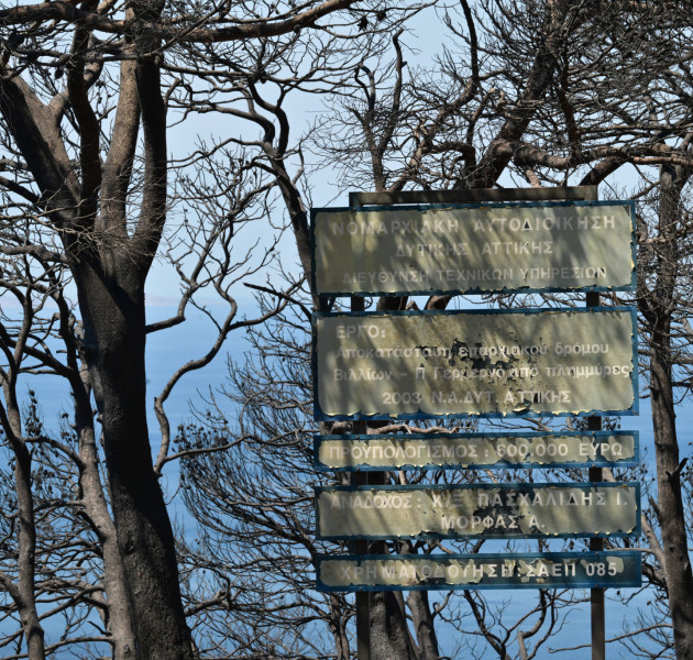 Η Δυτική Αττική μετρά τις πληγές της - Αγώνας για αποκατάσταση μετά τη φωτιά σε Πόρτο Γερμενό, Ψάθα