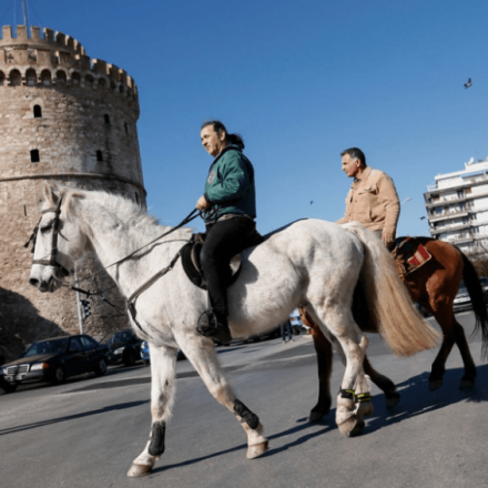 «Σαλόνι Αλόγου»: Καλπασμοί και χλιμιντρίσματα στο κέντρο της Θεσσαλονίκης για τη Zootechnia στη ΔΕΘ [vid]