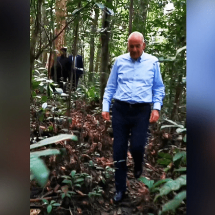 Δένδιας: Στο τροπικό δάσος του εθνικού δρυμού της Γκαμπόν ο υπουργός Εξωτερικών [vid]