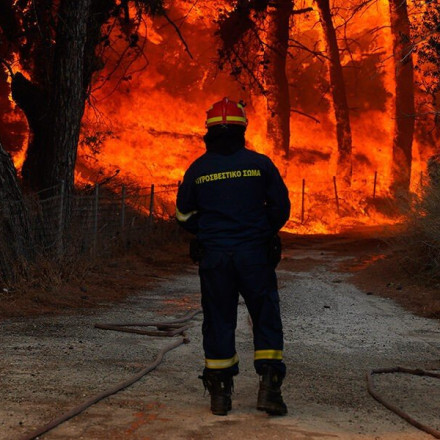 Εύβοια: Μαίνεται η πυρκαγιά στην περιοχή του υδροβιότοπου Κολοβρέχτη στα Ψαχνά