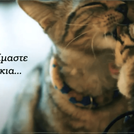 ΚΝΕ για την προεκλογική αντιπαράθεση: Δεν είμαστε γατάκια [Βίντεο]