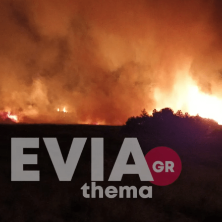 Εύβοια: Ανεξέλεγκτη η φωτιά σε προστατευμένο υδροβιότοπο στα Ψαχνά