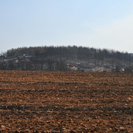 Φωτιά στην Αλεξανδρούπολη: Νέο μήνυμα του 112 για εκκένωση των περιοχών Κοίλα και Μελία προς Φέρρες [vids]