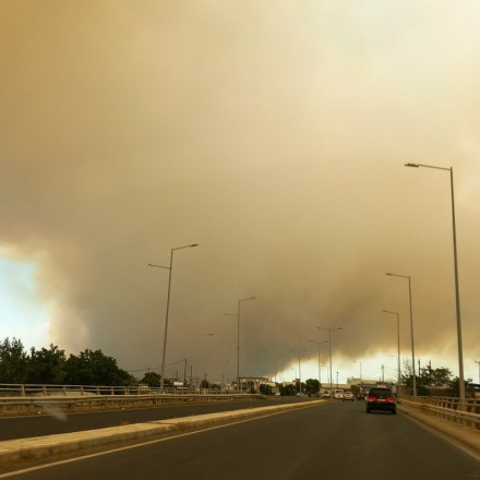Φωτιά στην Αλεξανδρούπολη: Απειλείται το δάσος της Δαδιάς - «Πνίγηκε» στις στάχτες το κέντρο της πόλης